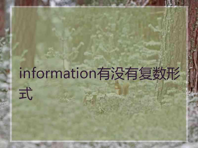 information有没有复数形式