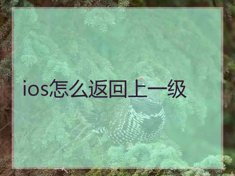 ios怎么返回上一级