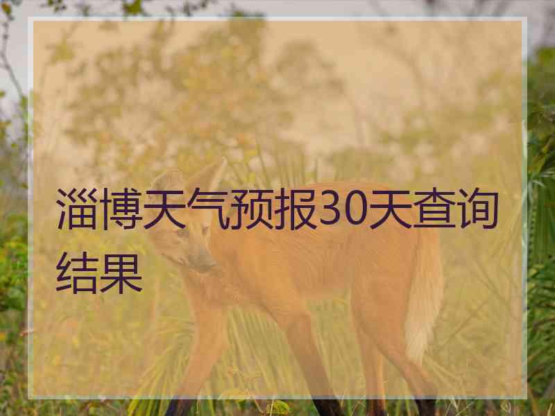 淄博天气预报30天查询结果