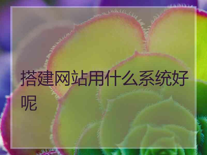 搭建网站用什么系统好呢