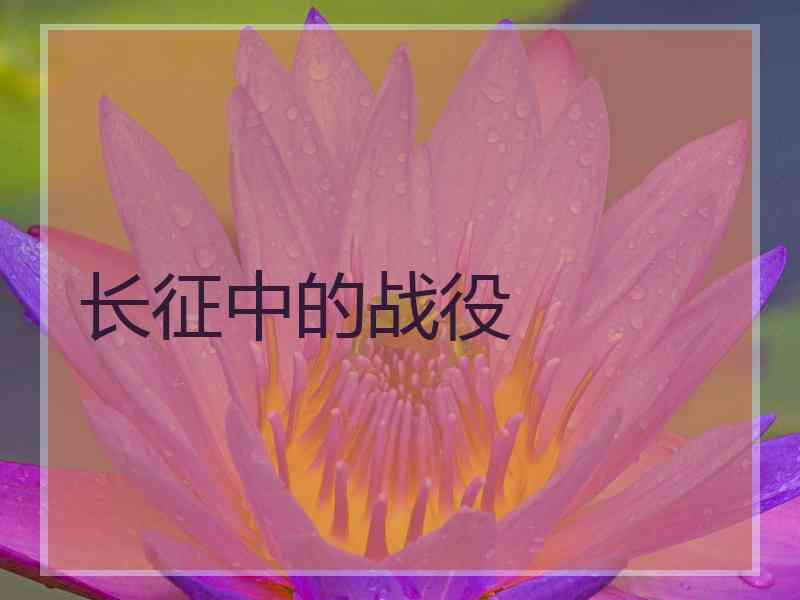 长征中的战役