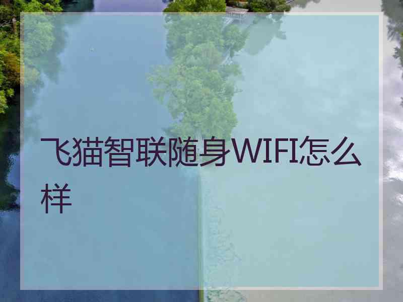 飞猫智联随身WIFI怎么样