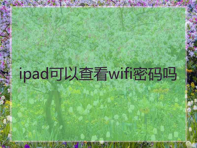 ipad可以查看wifi密码吗