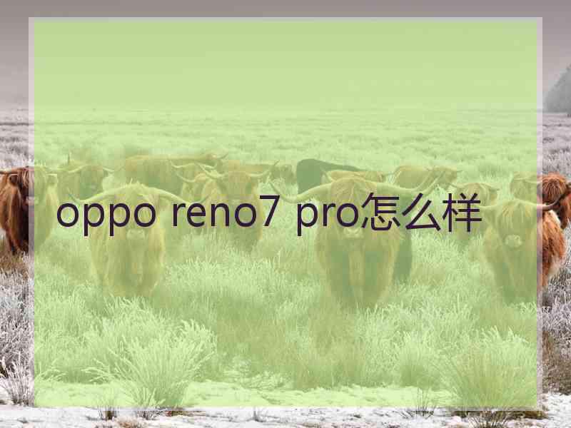 oppo reno7 pro怎么样