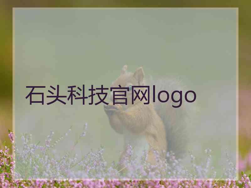 石头科技官网logo