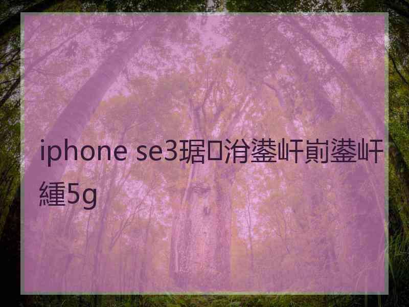 iphone se3琚洕鍙屽崱鍙屽緟5g