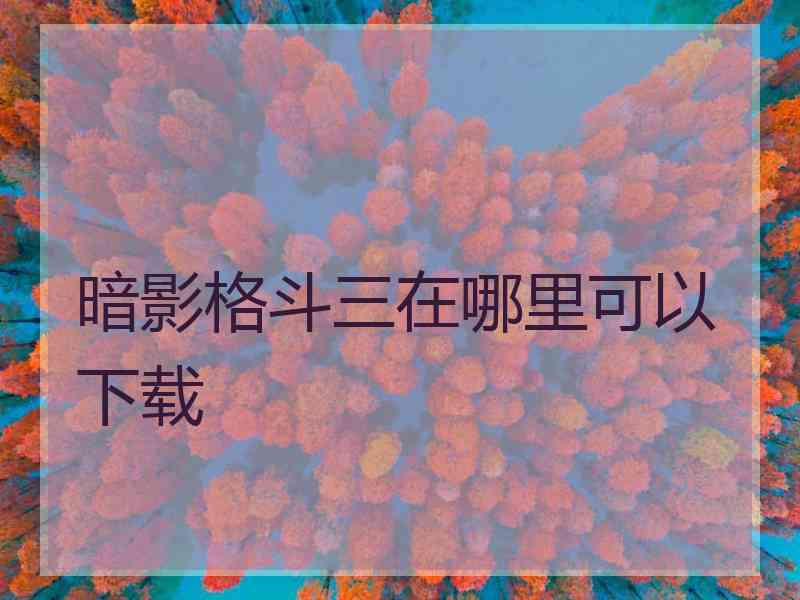 暗影格斗三在哪里可以下载