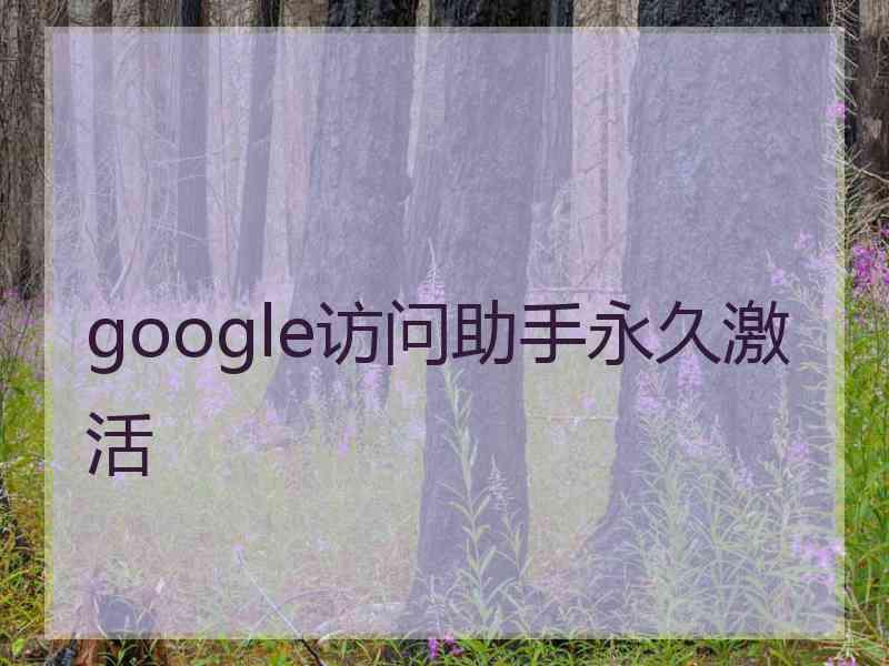 google访问助手永久激活