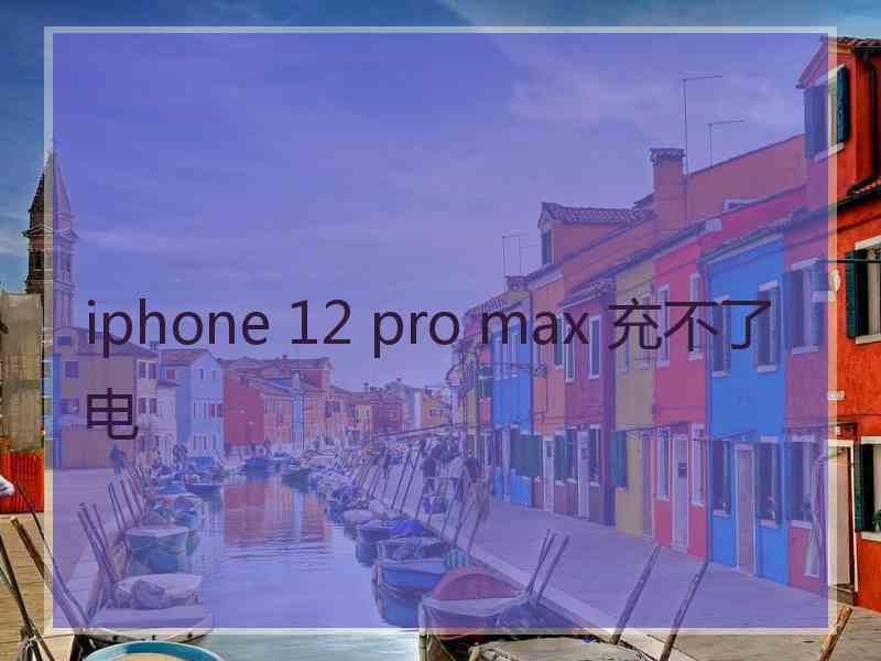 iphone 12 pro max 充不了电