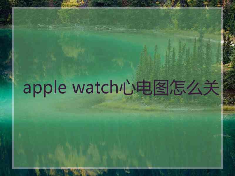 apple watch心电图怎么关