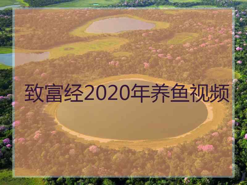 致富经2020年养鱼视频