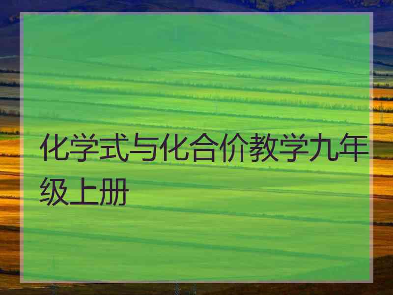 化学式与化合价教学九年级上册