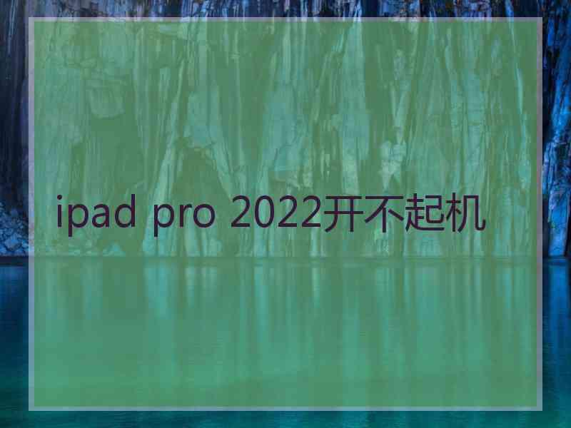 ipad pro 2022开不起机