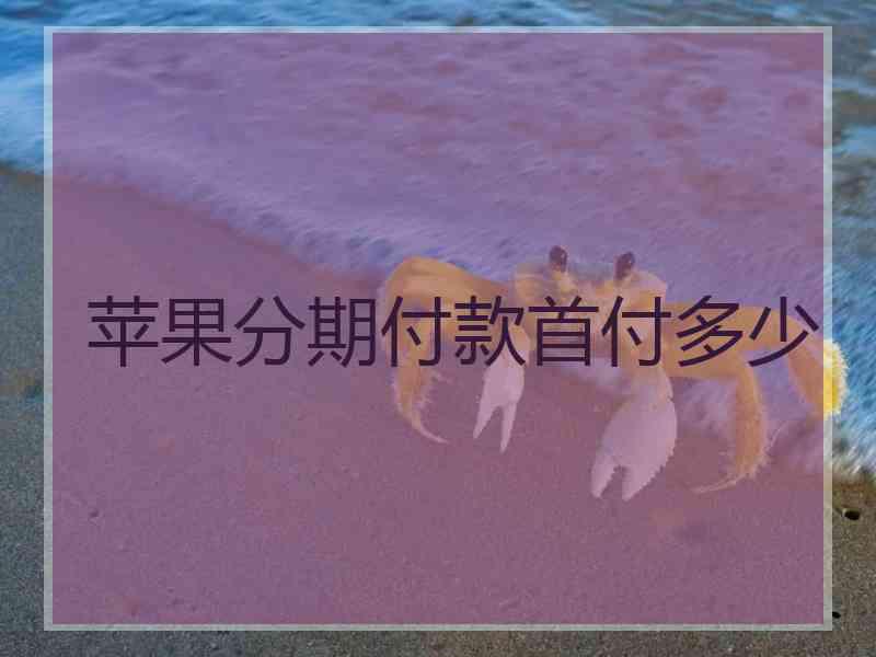 苹果分期付款首付多少