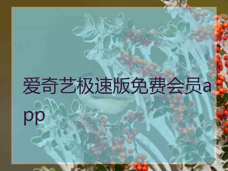 爱奇艺极速版免费会员app