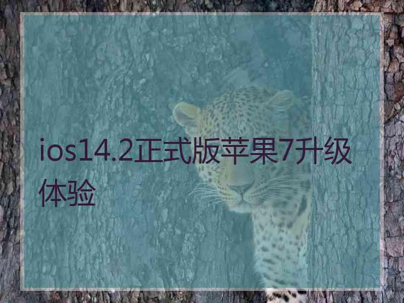 ios14.2正式版苹果7升级体验