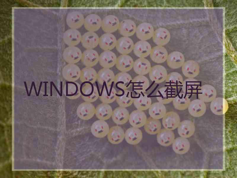 WINDOWS怎么截屏