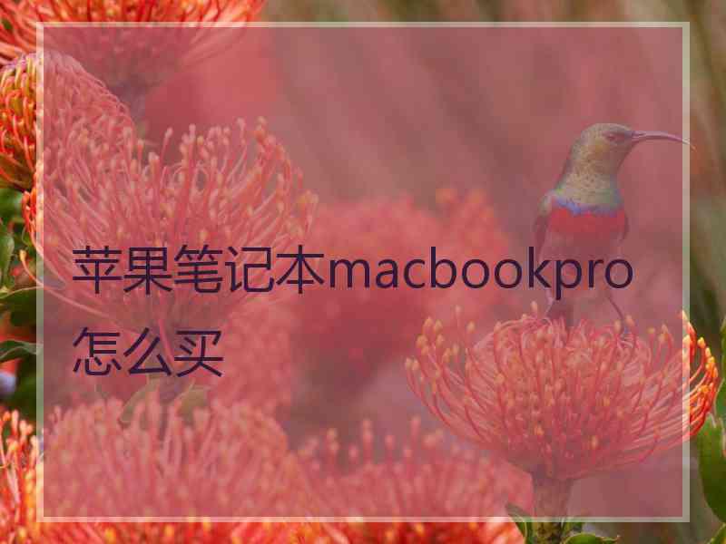 苹果笔记本macbookpro怎么买