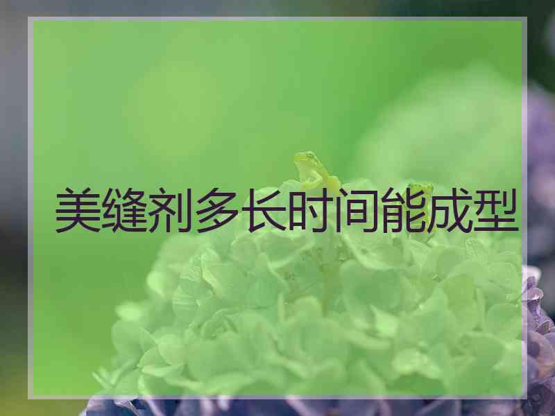 美缝剂多长时间能成型