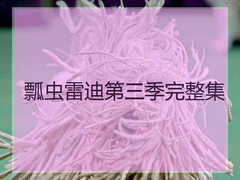 瓢虫雷迪第三季完整集