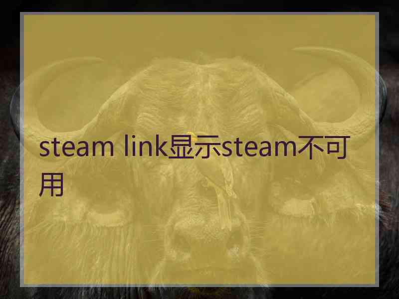 steam link显示steam不可用