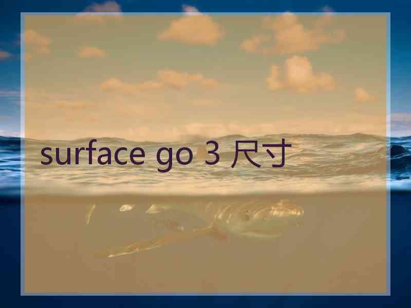 surface go 3 尺寸