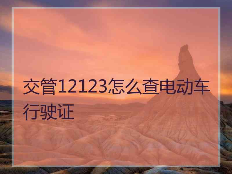 交管12123怎么查电动车行驶证