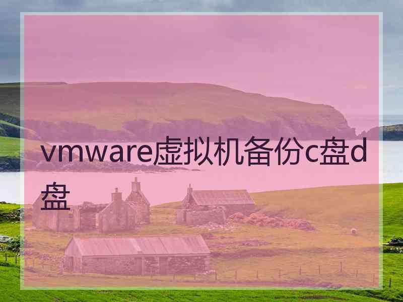 vmware虚拟机备份c盘d盘