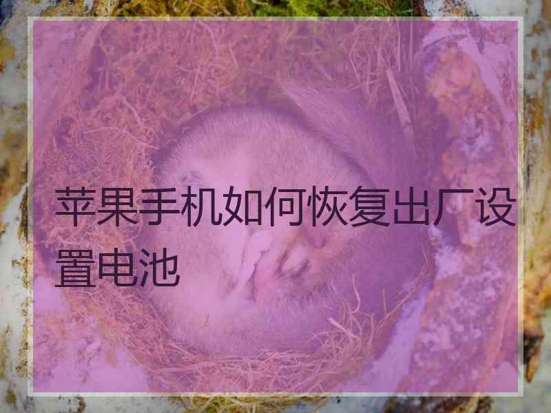 苹果手机如何恢复出厂设置电池