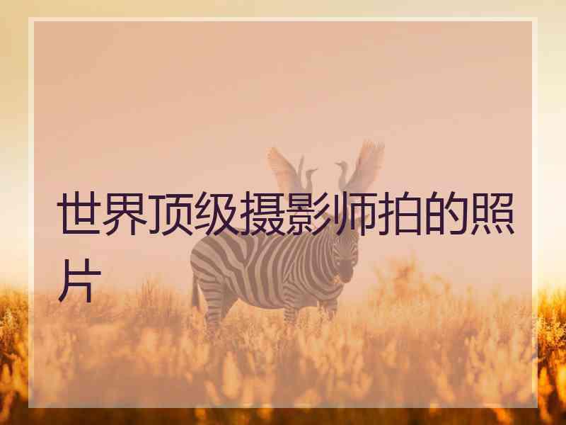 世界顶级摄影师拍的照片