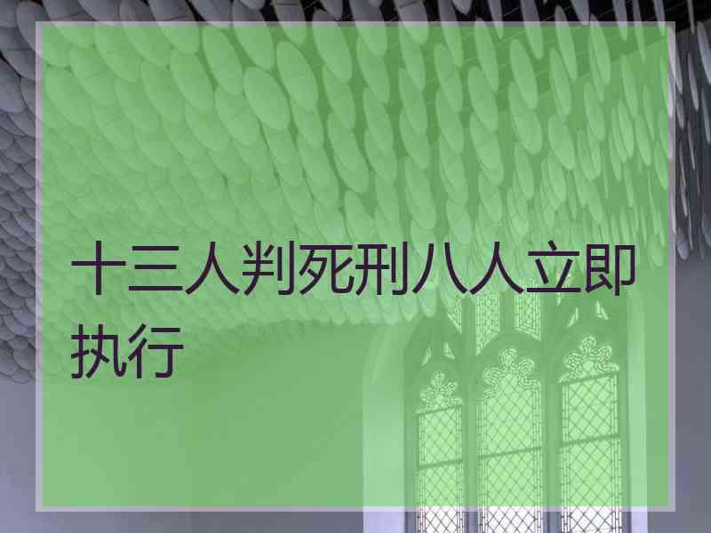 十三人判死刑八人立即执行