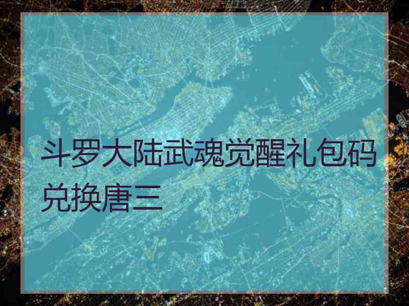 斗罗大陆武魂觉醒礼包码兑换唐三