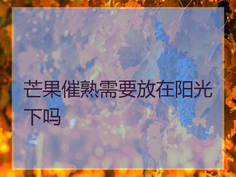 芒果催熟需要放在阳光下吗