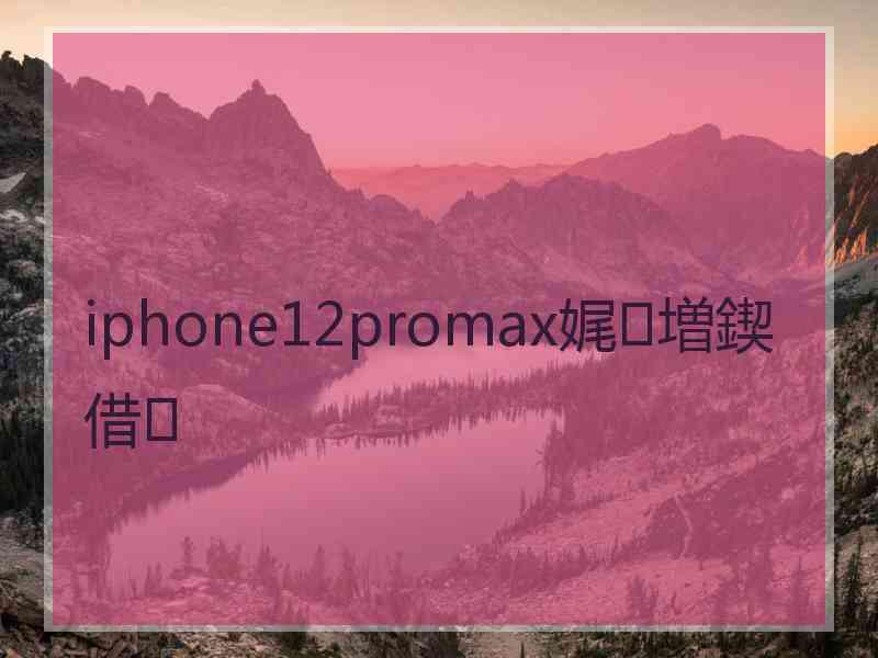 iphone12promax娓増鍥借