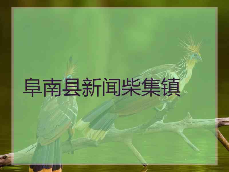 阜南县新闻柴集镇