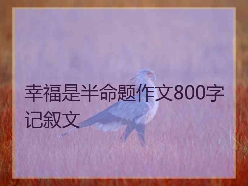 幸福是半命题作文800字记叙文