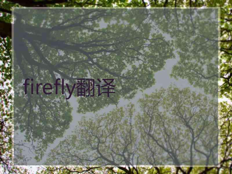 firefly翻译