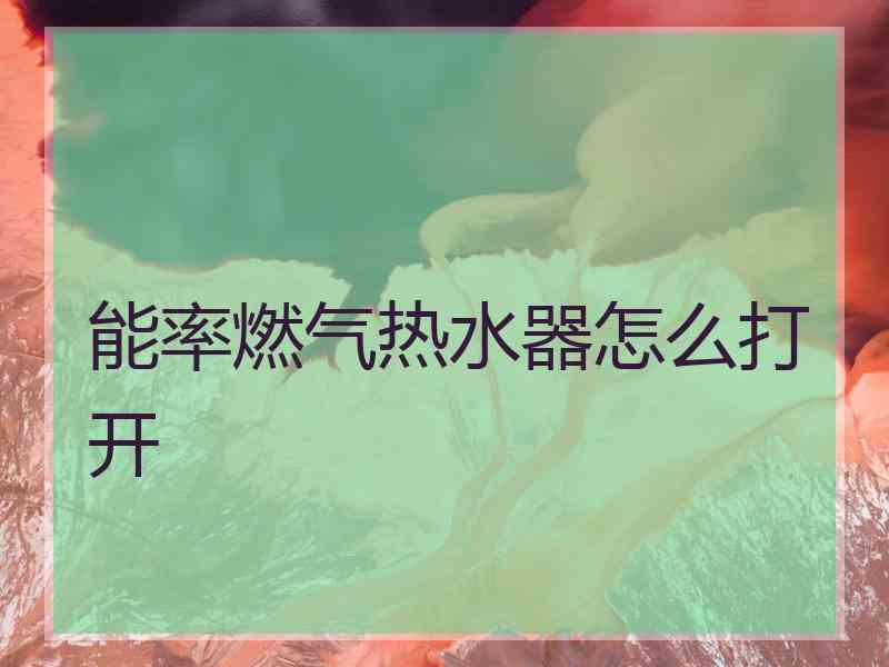 能率燃气热水器怎么打开