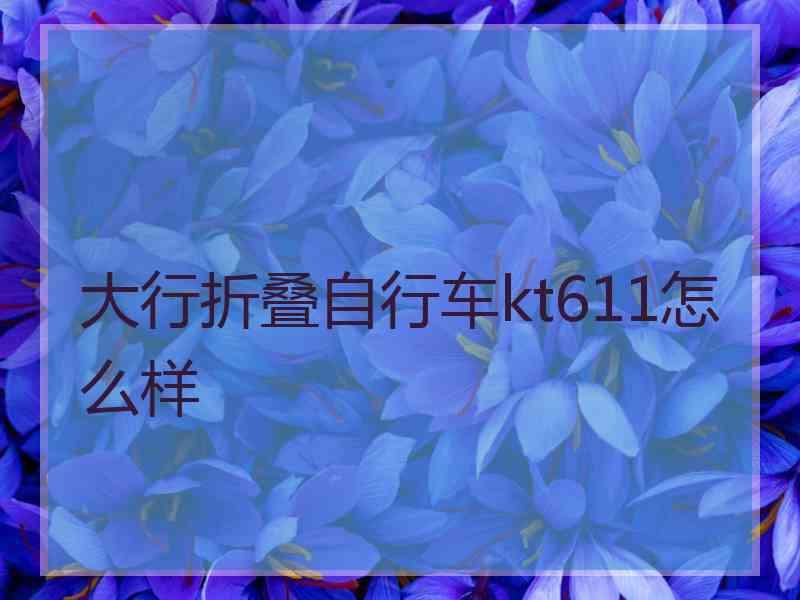 大行折叠自行车kt611怎么样