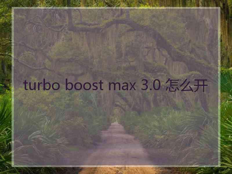 turbo boost max 3.0 怎么开