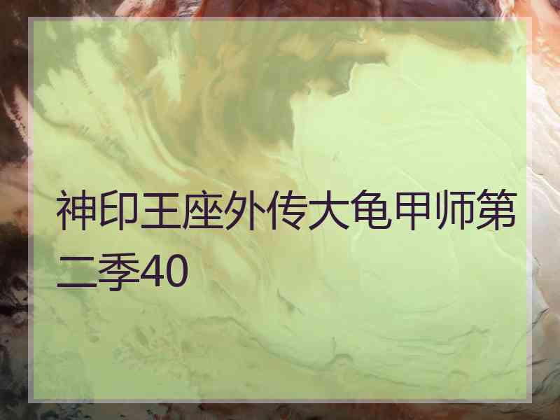 神印王座外传大龟甲师第二季40