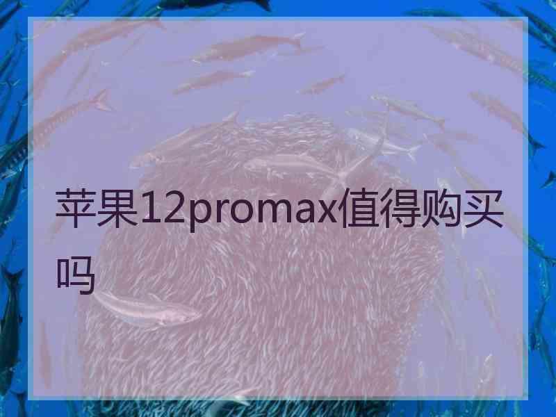 苹果12promax值得购买吗