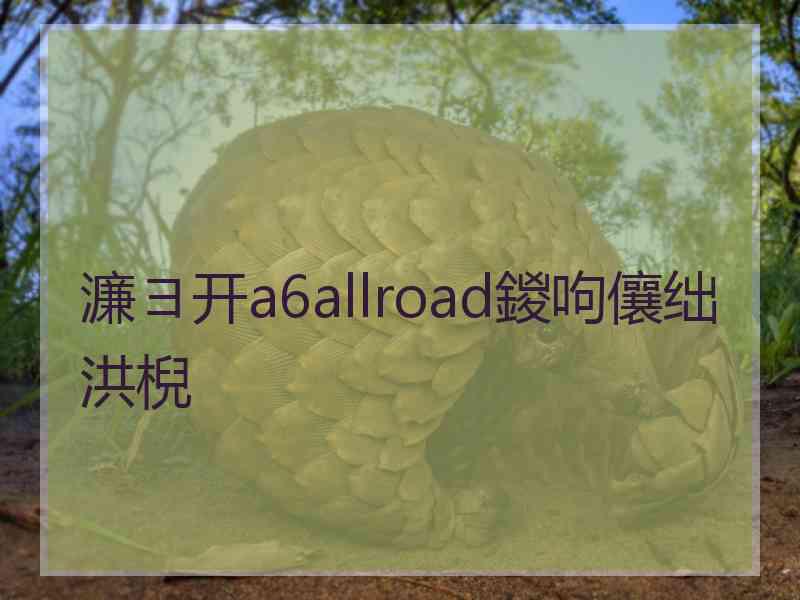 濂ヨ开a6allroad鍐呴儴绌洪棿