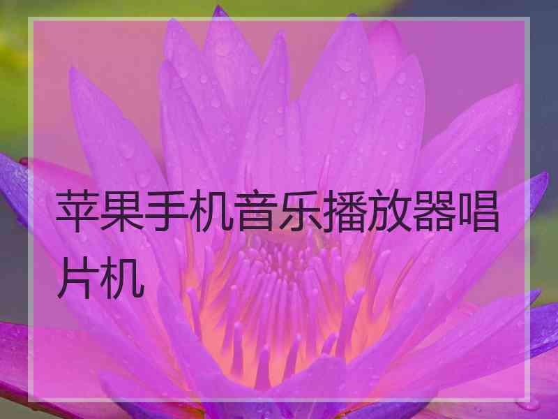 苹果手机音乐播放器唱片机