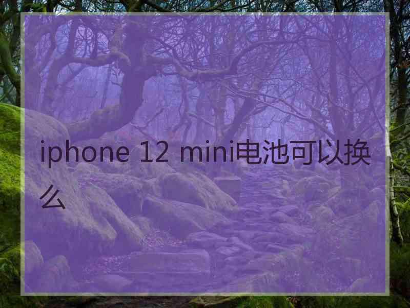 iphone 12 mini电池可以换么