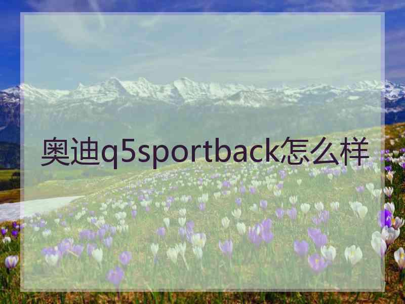 奥迪q5sportback怎么样