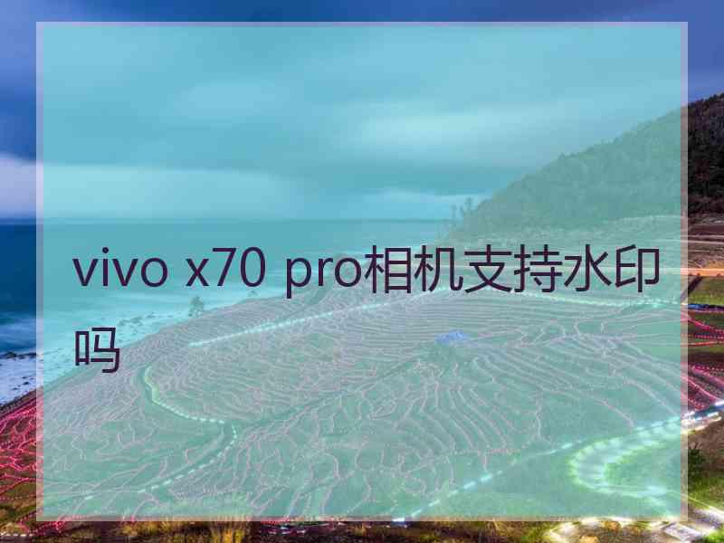 vivo x70 pro相机支持水印吗