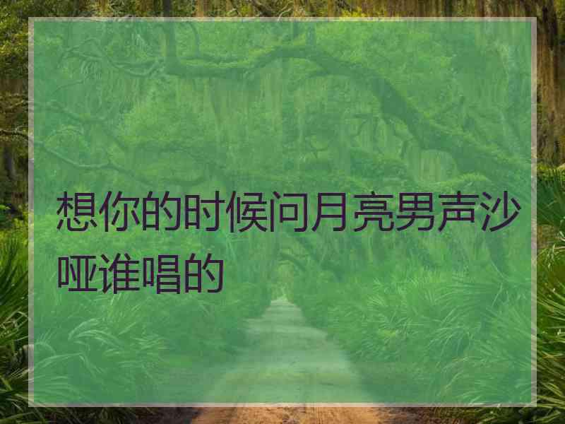 想你的时候问月亮男声沙哑谁唱的