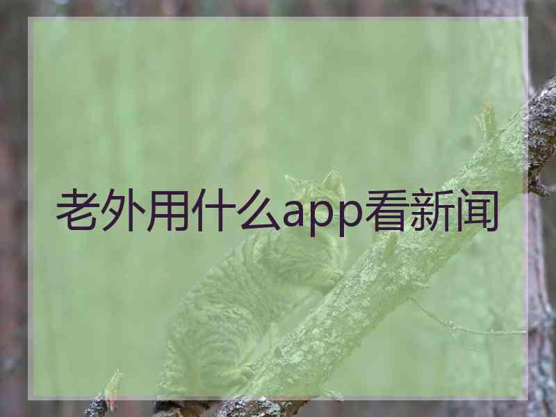 老外用什么app看新闻