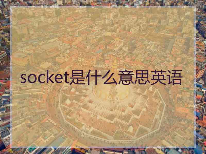 socket是什么意思英语